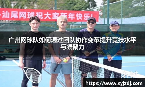 广州网球队如何通过团队协作变革提升竞技水平与凝聚力